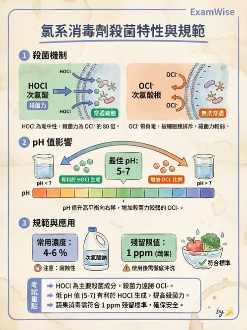 營養 - 食品用洗潔劑與殺菌消毒 - AI 圖文解析預覽