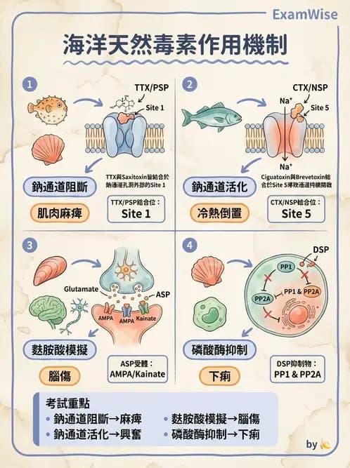 營養 - 天然毒素 - AI 圖文解析預覽