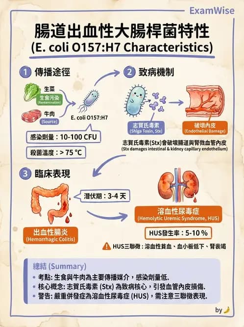 營養 - 食源性病原微生物 - AI 圖文解析預覽