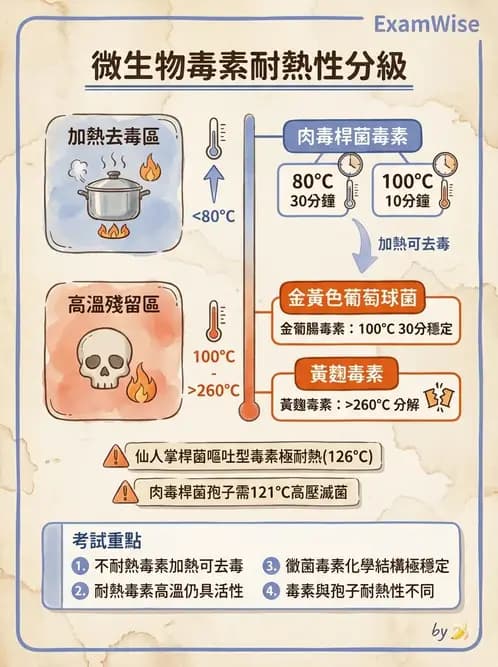 營養 - 食源性病原微生物 - AI 圖文解析預覽