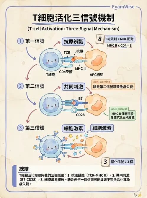 營養 - 血液與免疫 - AI 圖文解析預覽