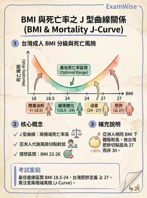 營養 - 能量平衡與食慾控制 - AI 圖文解析預覽
