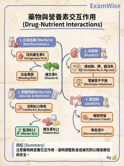 營養 - 當代營養學相關議題 - AI 圖文解析預覽