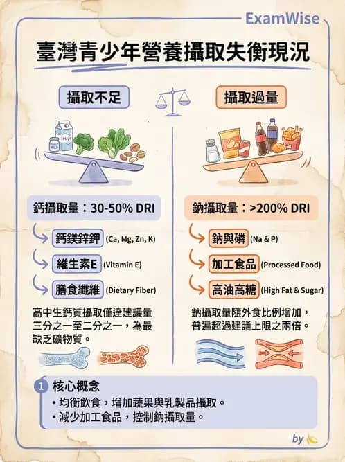 營養 - 兒童青少年與老年營養 - AI 圖文解析預覽