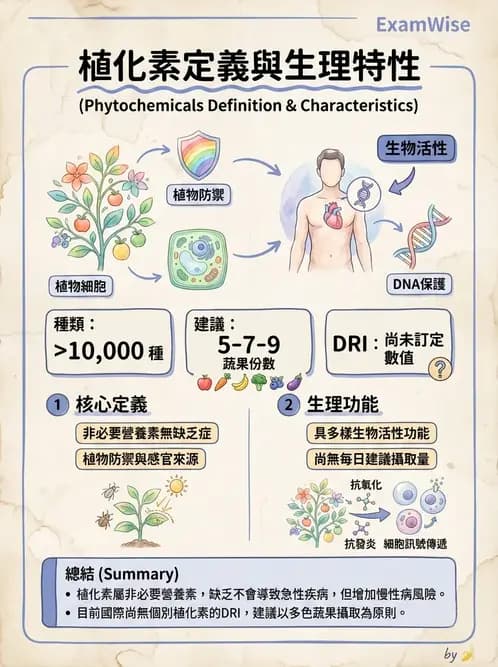 營養 - 當代營養學相關議題 - AI 圖文解析預覽