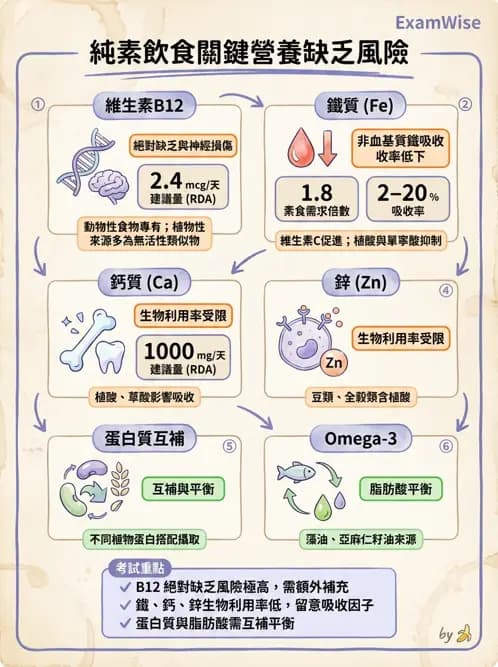 營養 - 當代營養學相關議題 - AI 圖文解析預覽