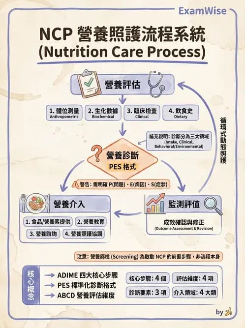 營養 - 營養評估與照護程序 - AI 圖文解析預覽