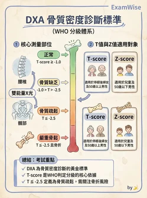 營養 - 骨骼與關節疾病 - AI 圖文解析預覽