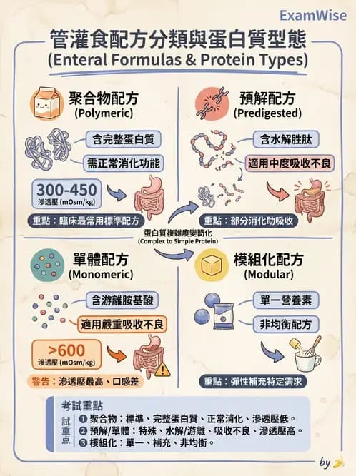 營養 - 營養支持 - AI 圖文解析預覽