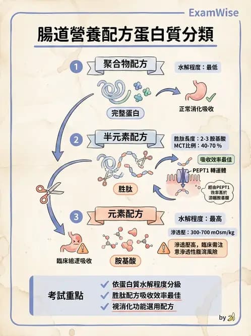 營養 - 營養支持 - AI 圖文解析預覽