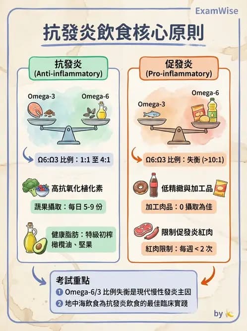 營養 - 骨骼與關節疾病 - AI 圖文解析預覽