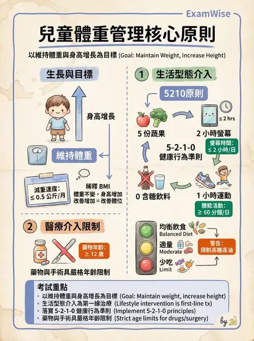 營養 - 體重管理與攝食異常 - AI 圖文解析預覽