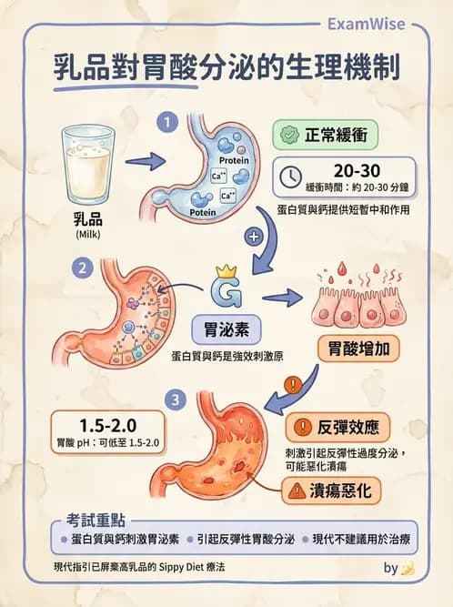 營養 - 腸胃道疾病 - AI 圖文解析預覽