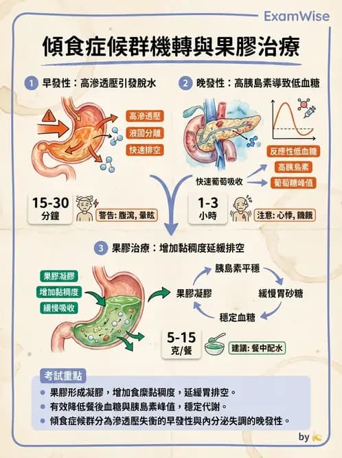 營養 - 腸胃道疾病 - AI 圖文解析預覽