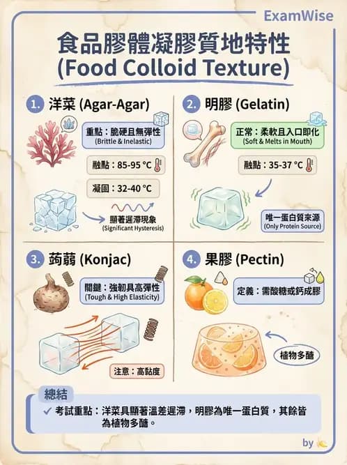 營養 - 動植物性食材製備原理 - AI 圖文解析預覽