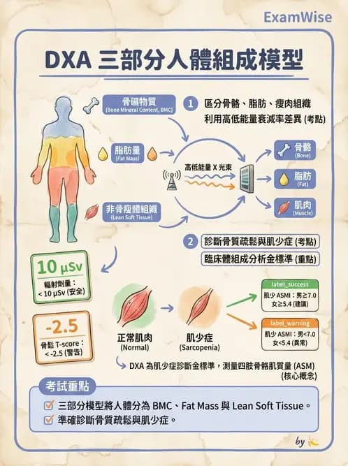 營養 - 生化指標與營養缺乏 - AI 圖文解析預覽