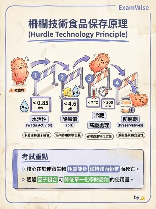 營養 - 食品腐敗微生物學 - AI 圖文解析預覽