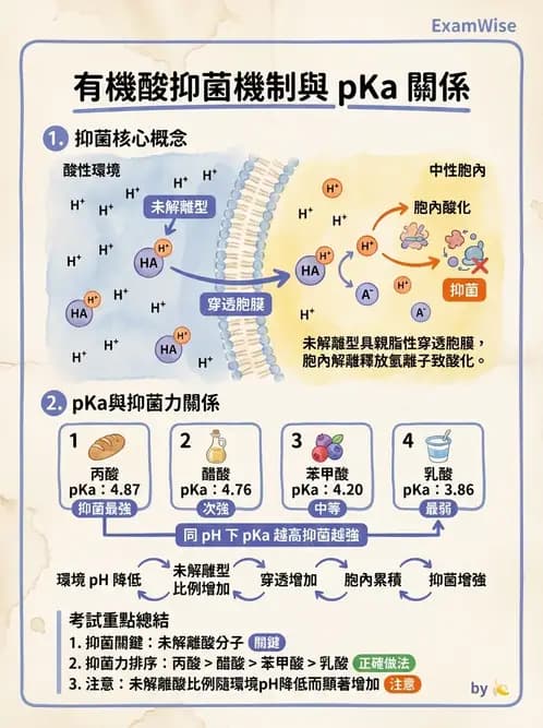 營養 - 食品腐敗微生物學 - AI 圖文解析預覽