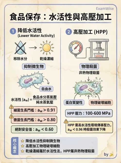 營養 - 食品腐敗微生物學 - AI 圖文解析預覽
