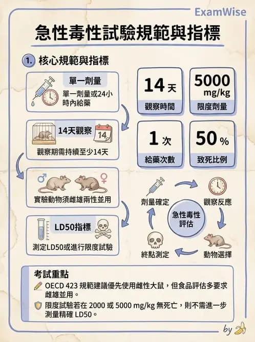 營養 - 食品安全性評估 - AI 圖文解析預覽
