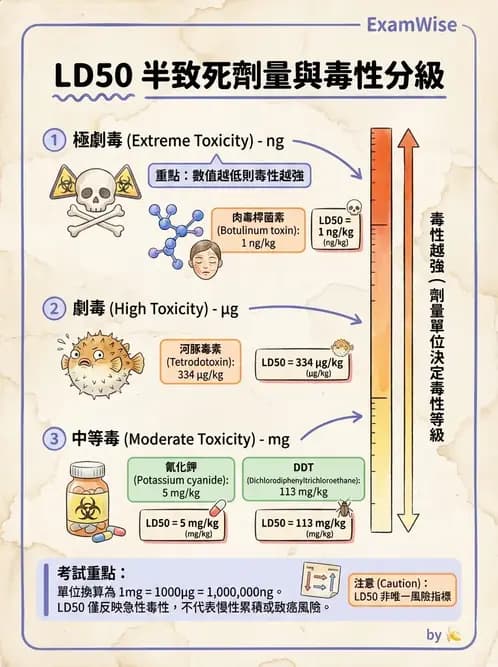 營養 - 食品安全性評估 - AI 圖文解析預覽