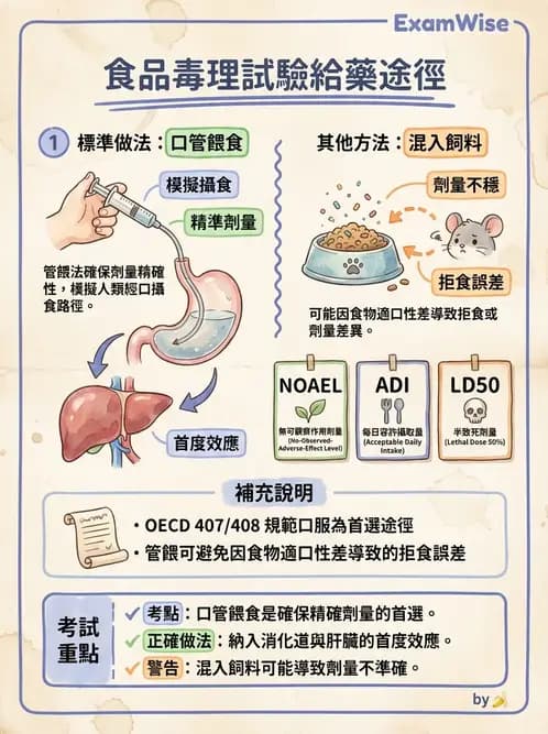 營養 - 食品安全性評估 - AI 圖文解析預覽