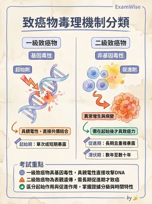 營養 - 食品安全性評估 - AI 圖文解析預覽