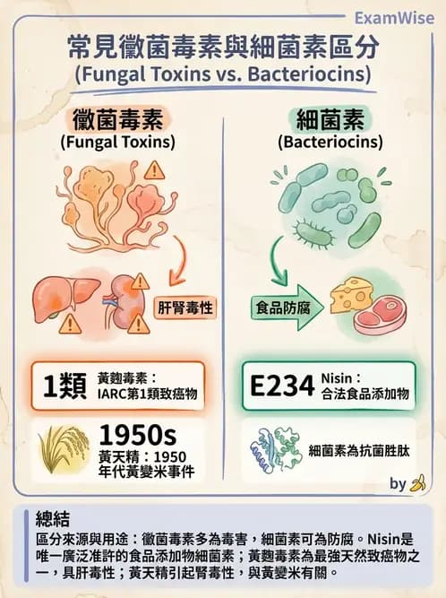 營養 - 天然毒素 - AI 圖文解析預覽