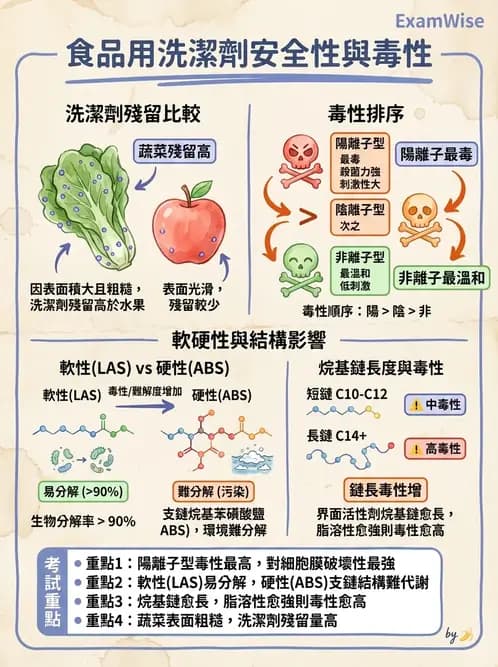 營養 - 食品用洗潔劑與殺菌消毒 - AI 圖文解析預覽