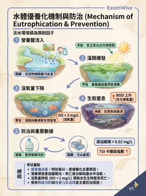 營養 - 食品用洗潔劑與殺菌消毒 - AI 圖文解析預覽