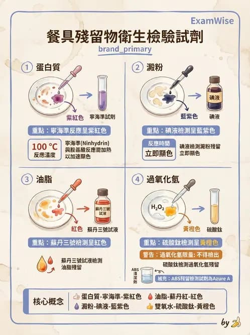營養 - 餐飲人員衛生與操作規範 - AI 圖文解析預覽