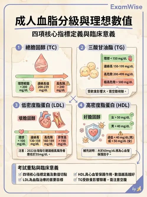 營養 - 脂蛋白與膽固醇代謝 - AI 圖文解析預覽