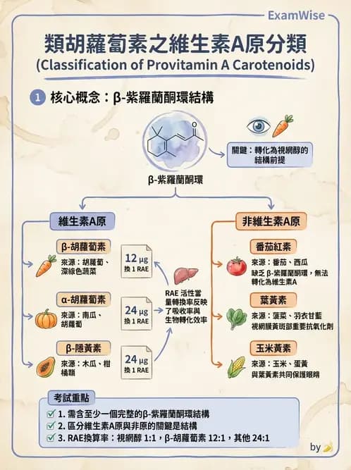 營養 - 維生素A - AI 圖文解析預覽