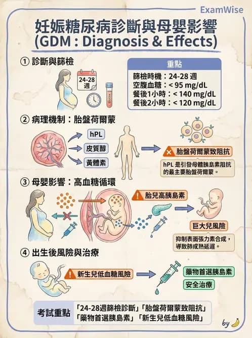 營養 - 孕期與哺乳期營養 - AI 圖文解析預覽