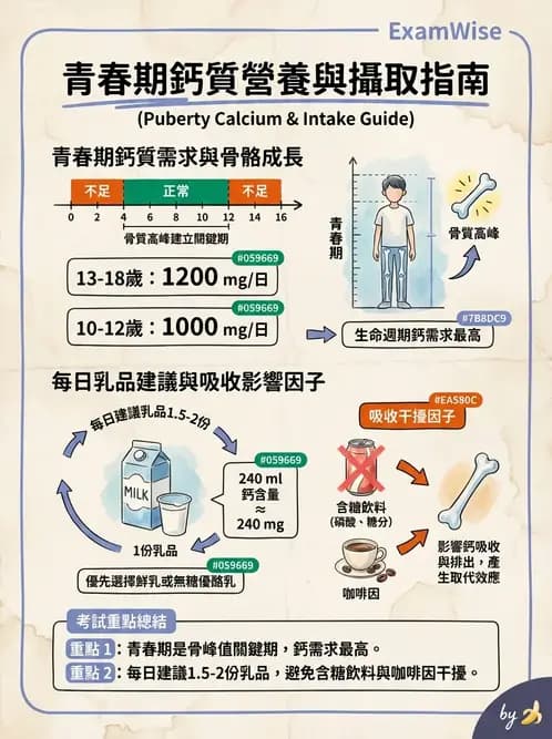 營養 - 兒童青少年與老年營養 - AI 圖文解析預覽