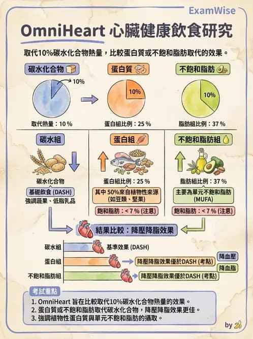 營養 - 高血壓與心血管保護飲食 - AI 圖文解析預覽