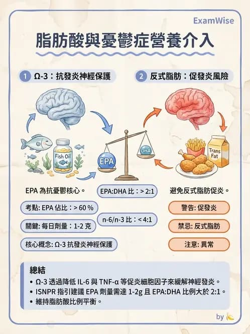 營養 - 營養評估與照護程序 - AI 圖文解析預覽