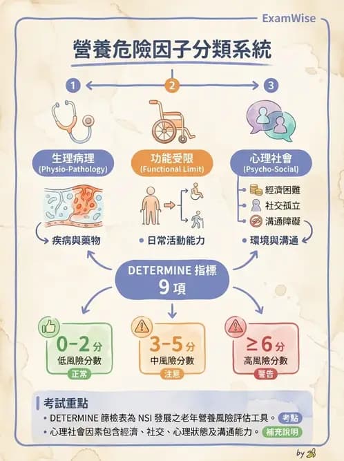 營養 - 營養評估與照護程序 - AI 圖文解析預覽