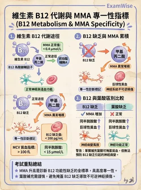 營養 - 營養評估與照護程序 - AI 圖文解析預覽