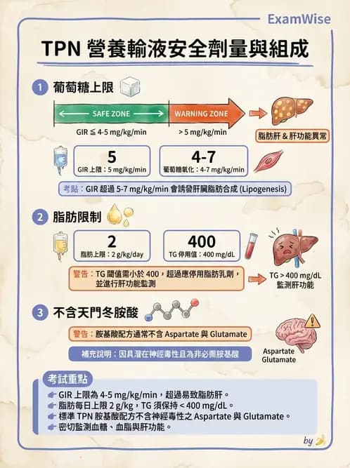 營養 - 營養支持 - AI 圖文解析預覽