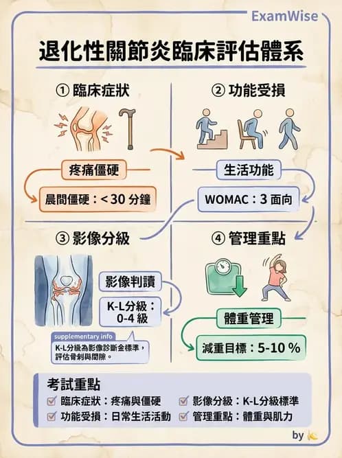 營養 - 骨骼與關節疾病 - AI 圖文解析預覽
