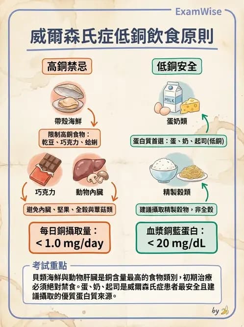 營養 - 肝膽疾病 - AI 圖文解析預覽