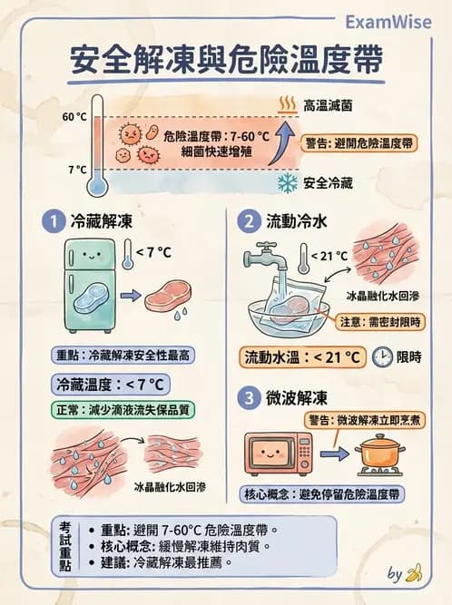 營養 - 動植物性食材製備原理 - AI 圖文解析預覽