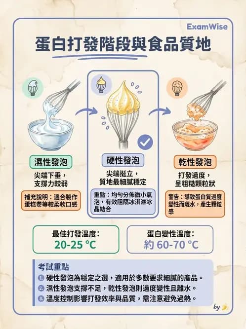 營養 - 動植物性食材製備原理 - AI 圖文解析預覽