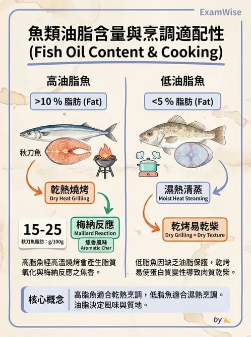 營養 - 動植物性食材製備原理 - AI 圖文解析預覽