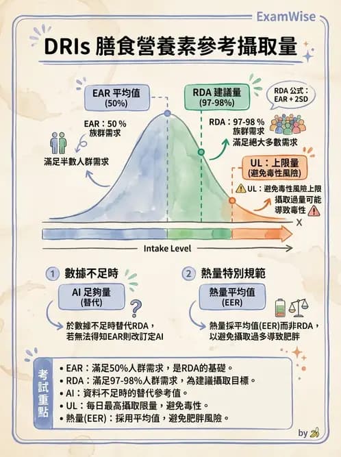 營養 - DRIs與飲食指南 - AI 圖文解析預覽