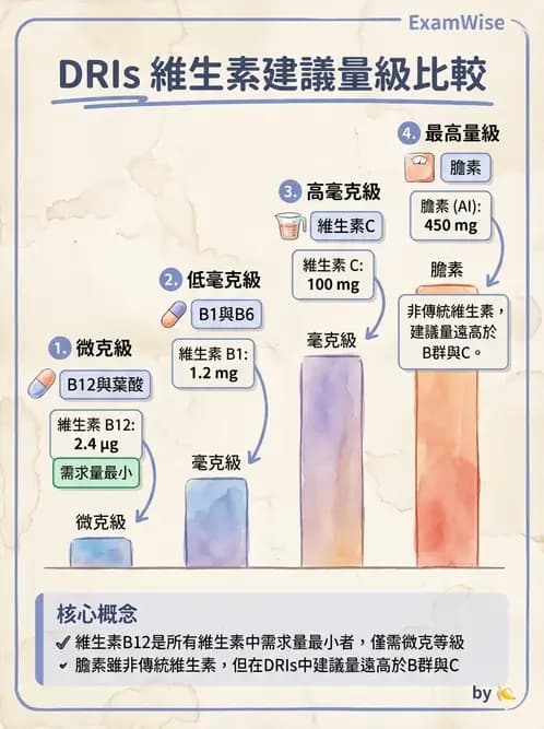 營養 - DRIs與飲食指南 - AI 圖文解析預覽
