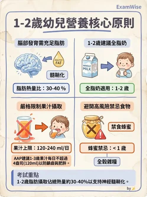 營養 - 母嬰與兒童營養政策 - AI 圖文解析預覽