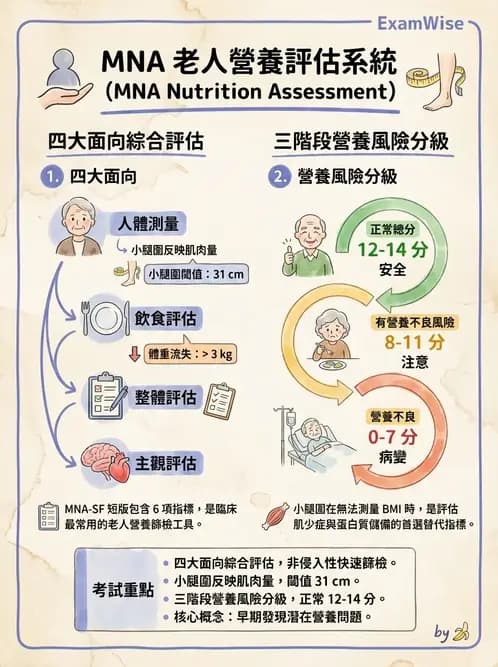 營養 - 營養篩檢與評估量表 - AI 圖文解析預覽