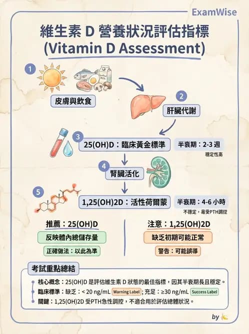 營養 - 生化指標與營養缺乏 - AI 圖文解析預覽